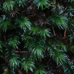 2010-10 China/Taiwan/2010:10:08-07:50:12_DSC04268.JPG